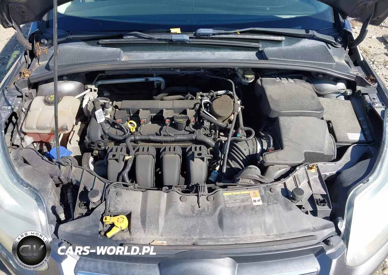 2014 Ford Focus Se VIN:1FADP3F26EL166140 - 10