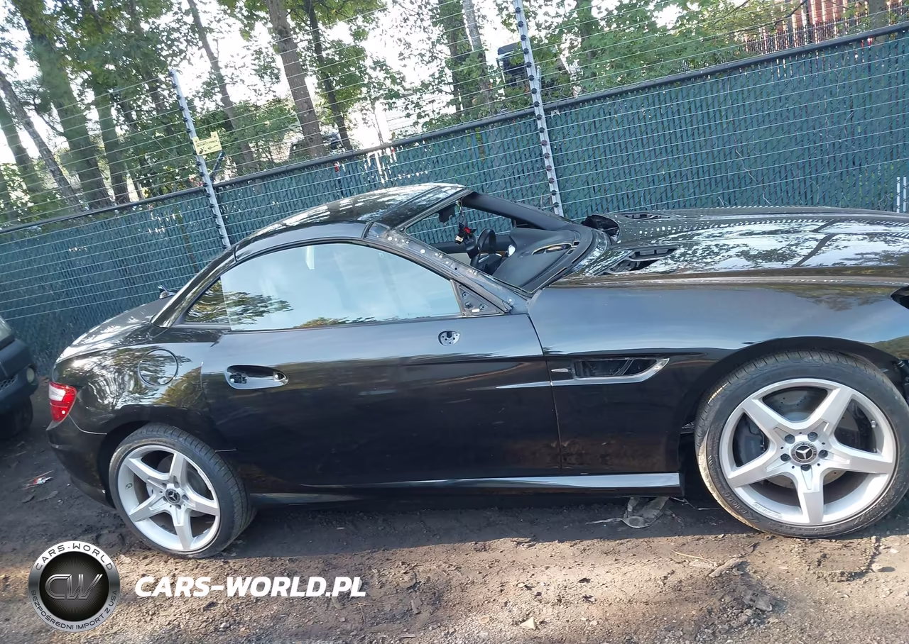 2014 Mercedes-Benz Slk 250 VIN:WDDPK4HA4EF092222 - 14