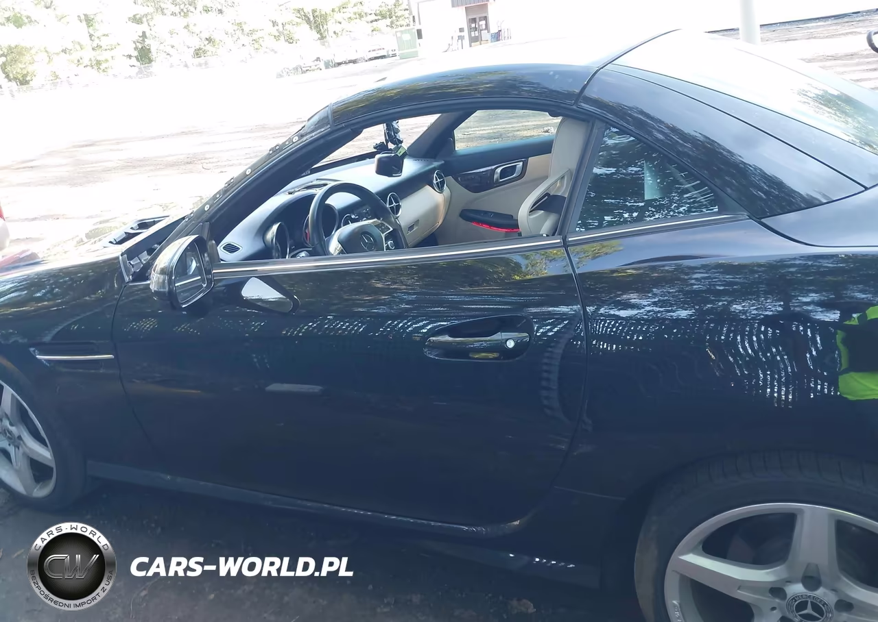 2014 Mercedes-Benz Slk 250 VIN:WDDPK4HA4EF092222 - 15