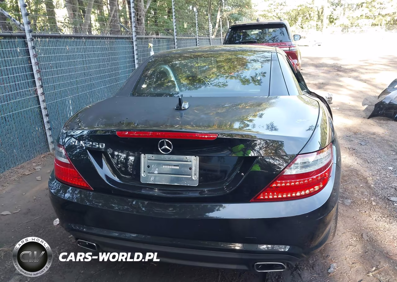 2014 Mercedes-Benz Slk 250 VIN:WDDPK4HA4EF092222 - 17
