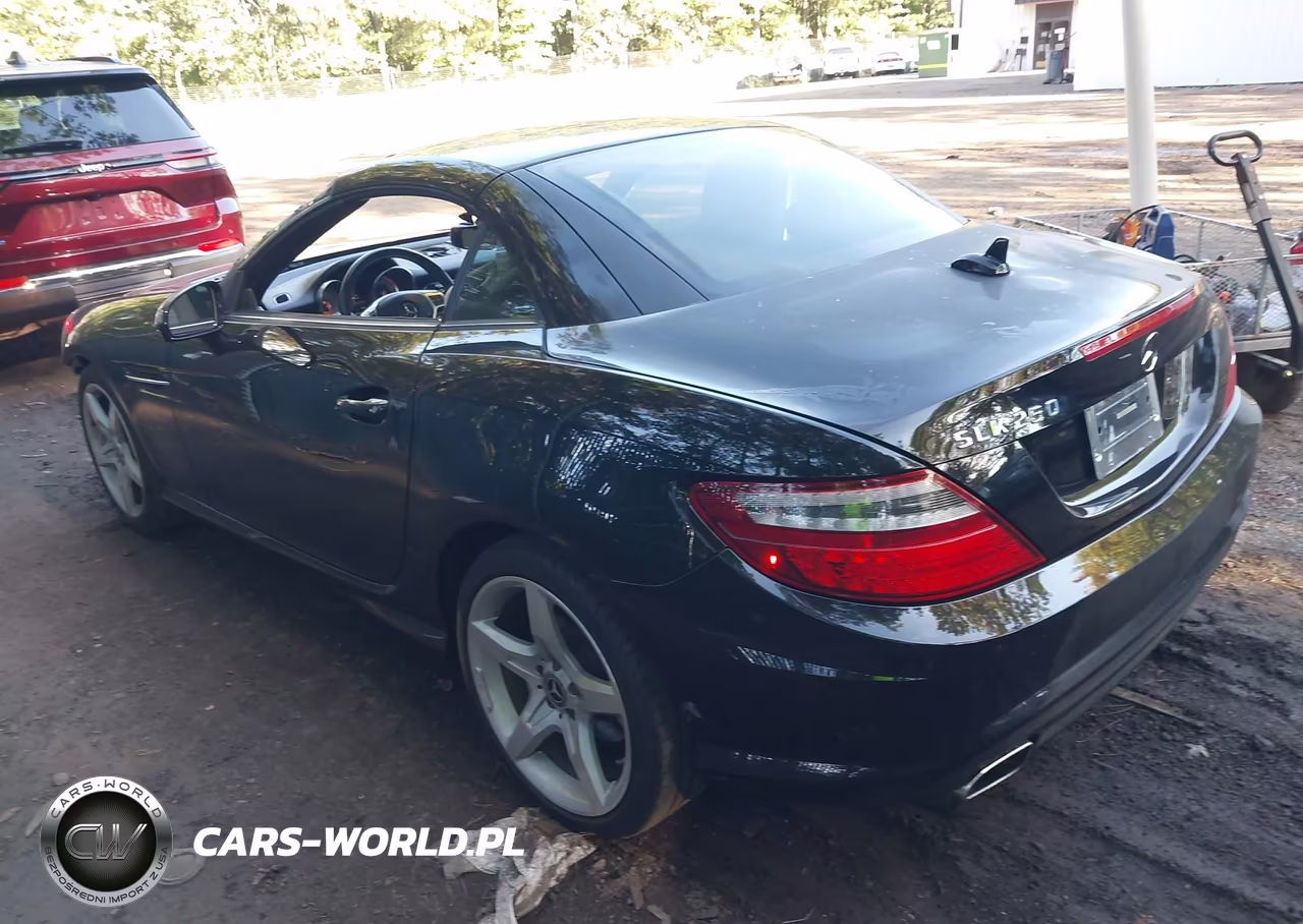 2014 Mercedes-Benz Slk 250 VIN:WDDPK4HA4EF092222 - 3