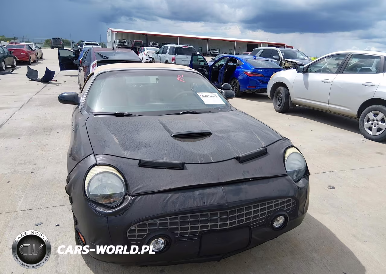 2004 Ford Thunderbird VIN:1FAHP60A54Y104457 - 13