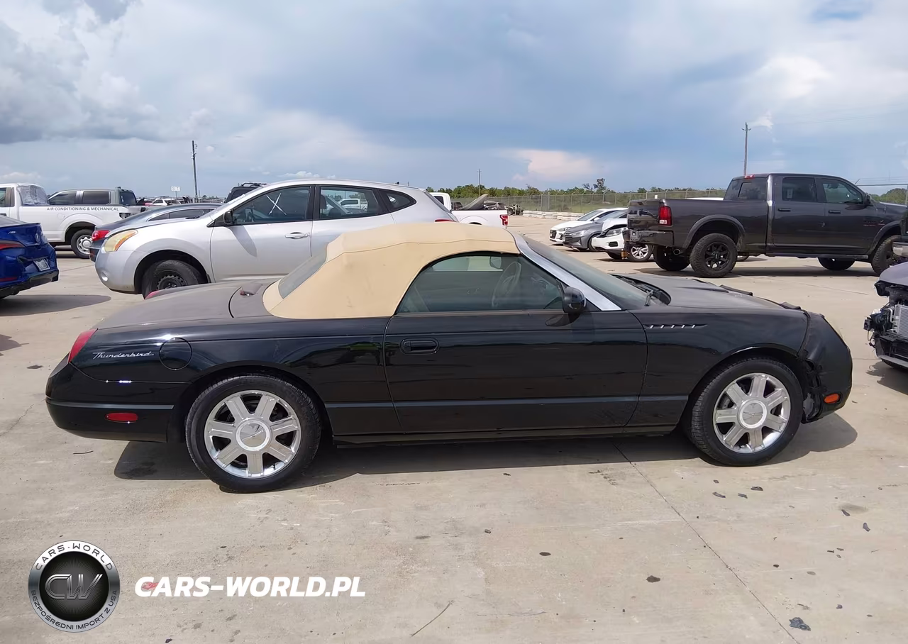 2004 Ford Thunderbird VIN:1FAHP60A54Y104457 - 14