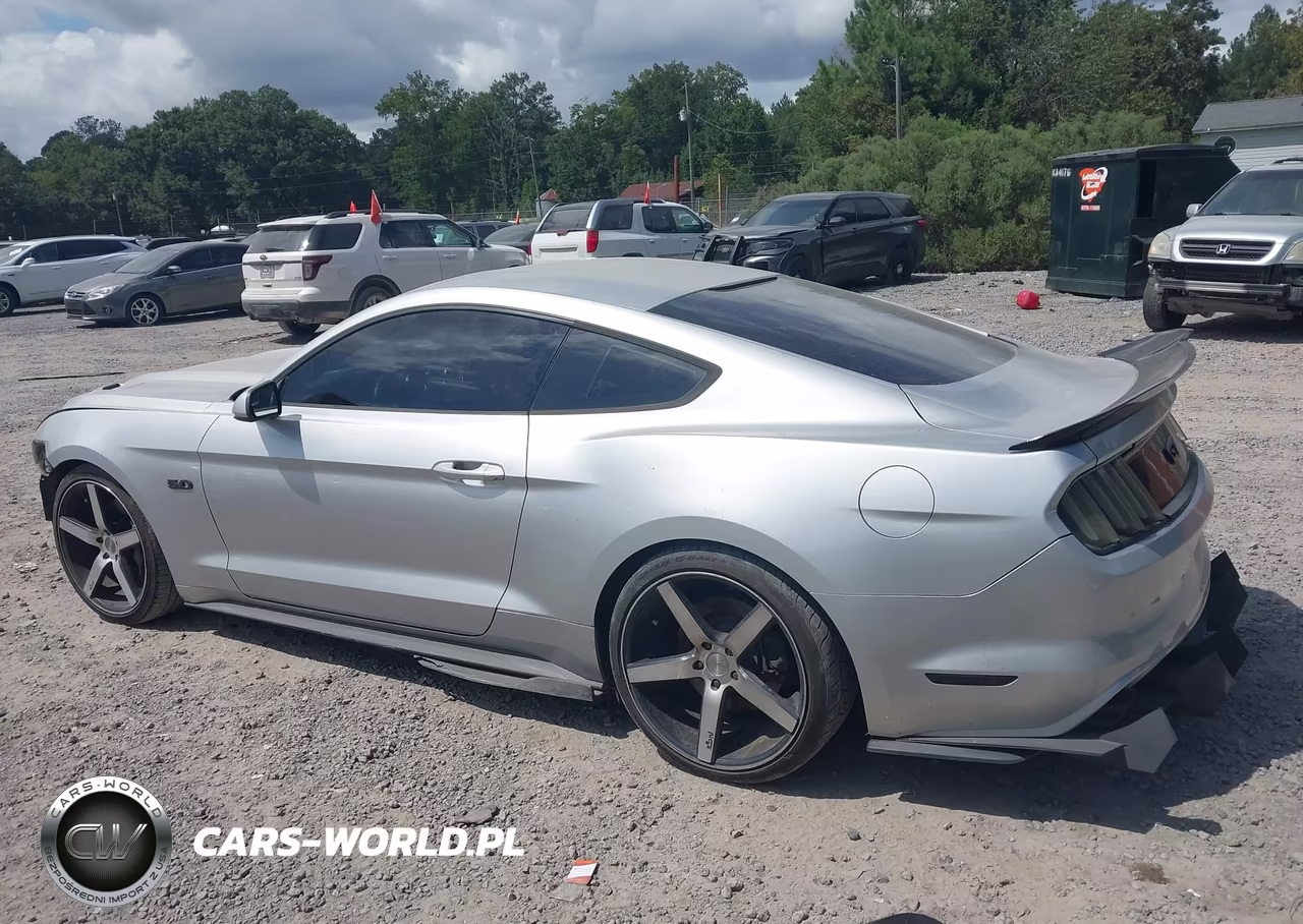 2016 Ford Mustang Gt VIN:1FA6P8CF0G5252029 - 15