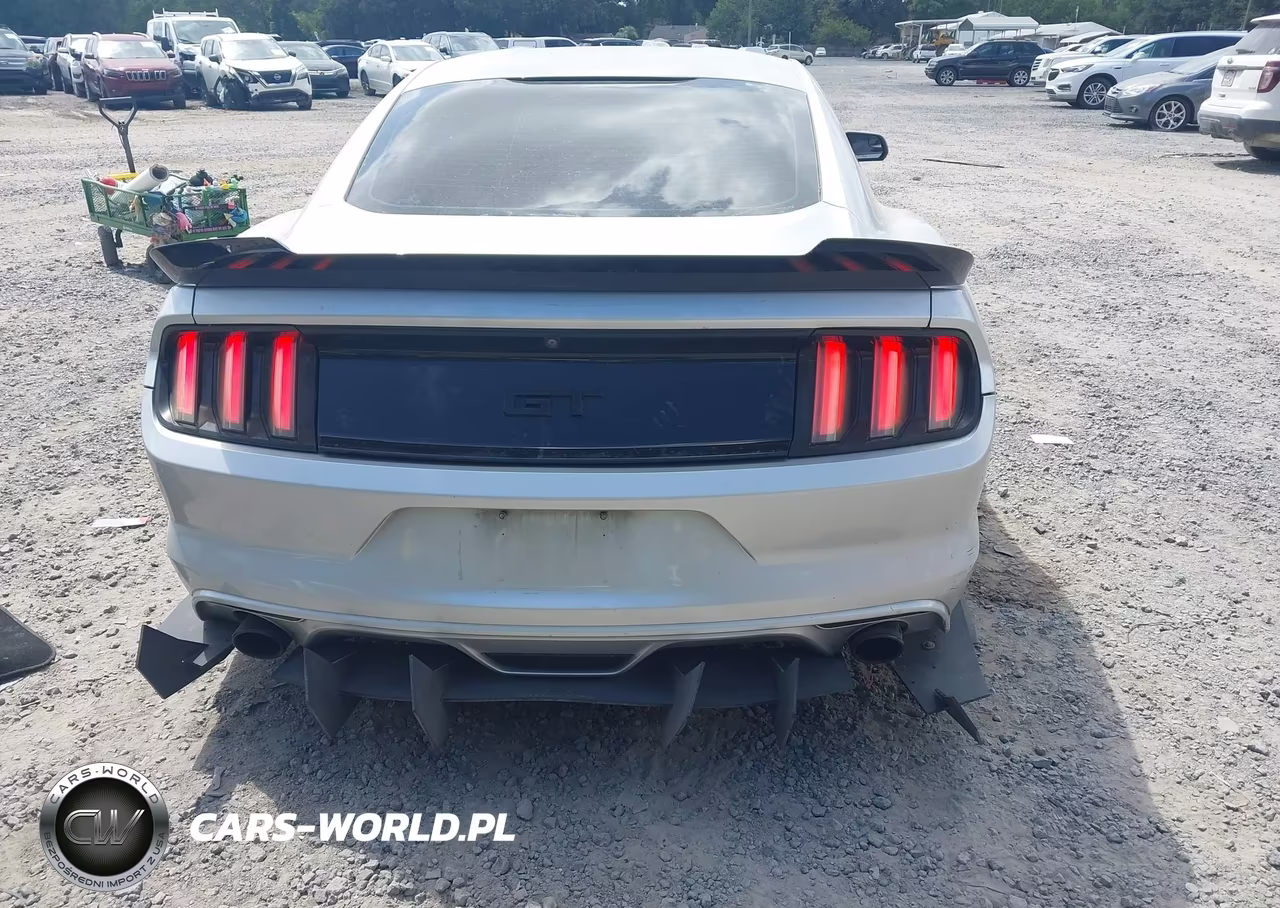 2016 Ford Mustang Gt VIN:1FA6P8CF0G5252029 - 17