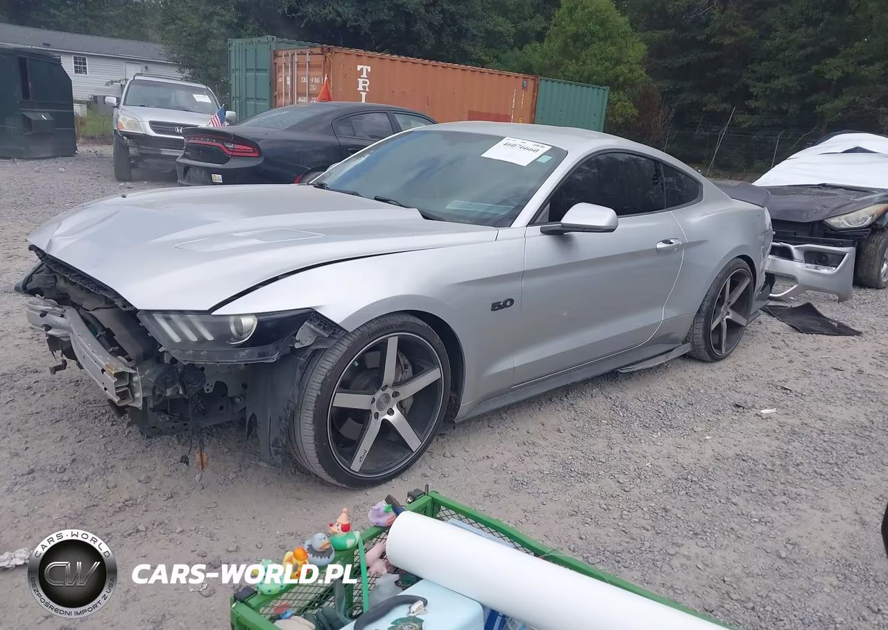 2016 Ford Mustang Gt VIN:1FA6P8CF0G5252029 - 2