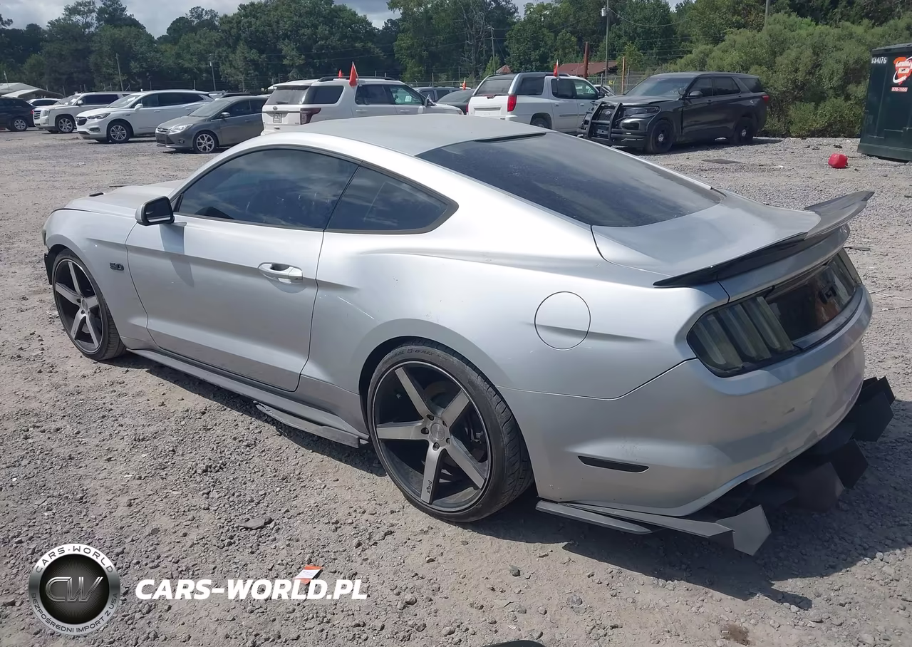 2016 Ford Mustang Gt VIN:1FA6P8CF0G5252029 - 3