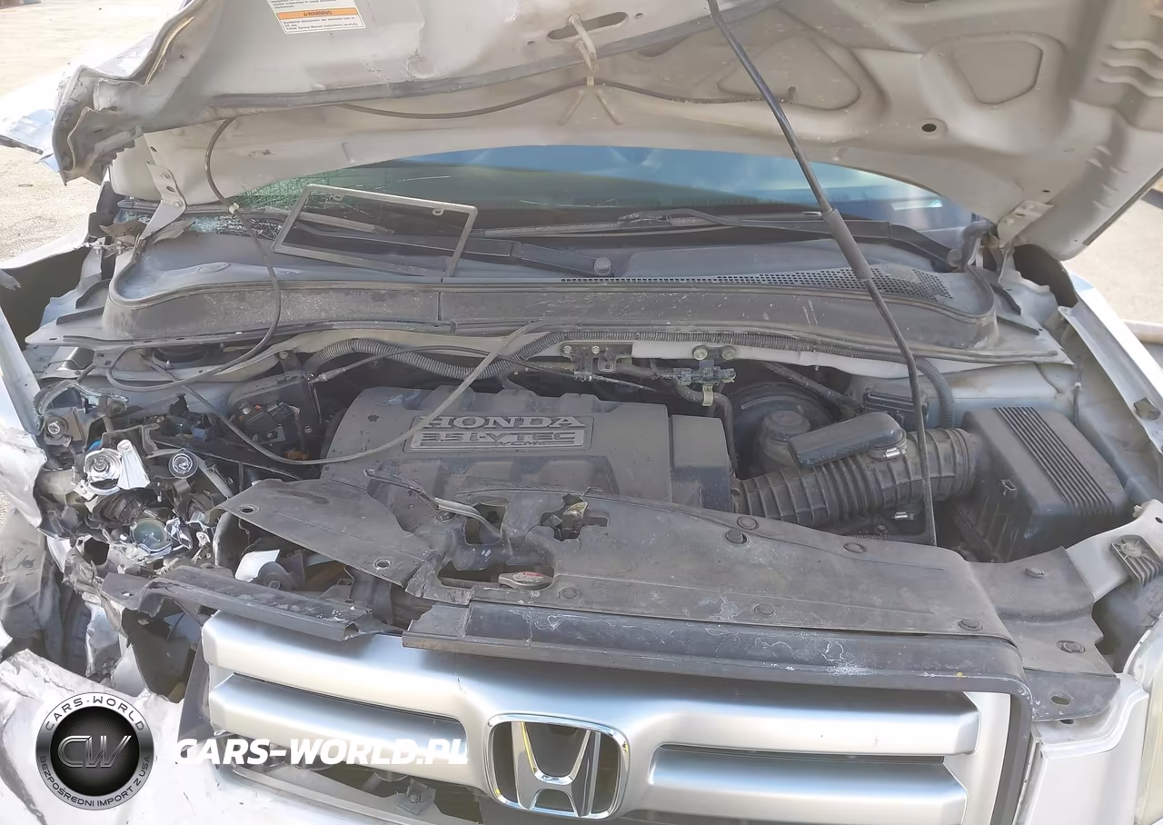 2007 Honda Pilot Lx VIN:5FNYF28157B023909 - 10
