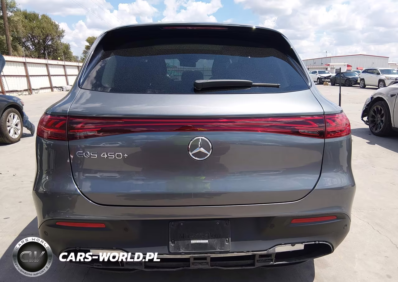 2023 Mercedes-Benz Eqs 450+ Suv VIN:4JGDM2DB9PA022754 - 17