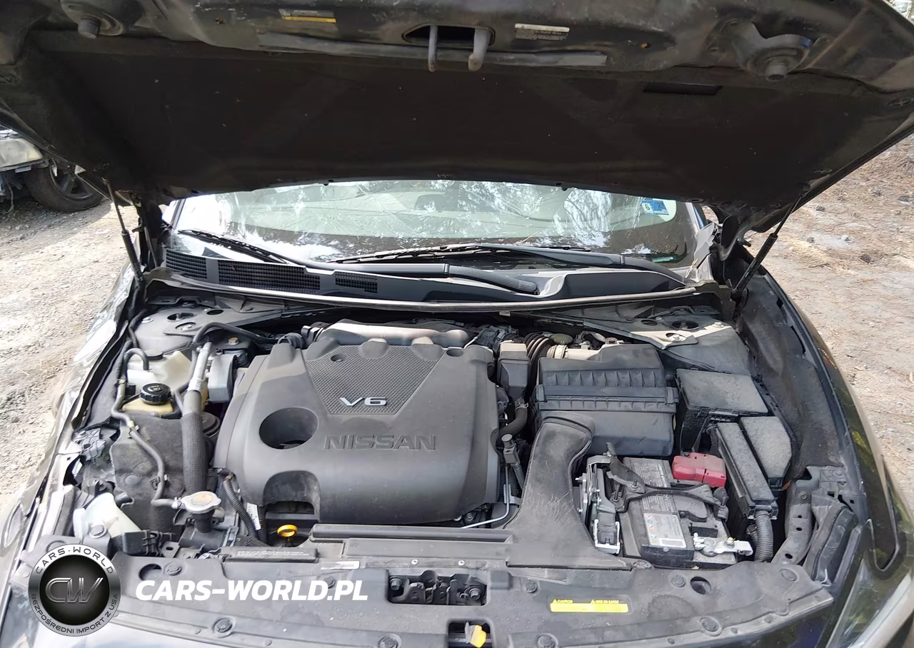 2020 Nissan Maxima Sl Xtronic Cvt VIN:1N4AA6DV5LC384943 - 10