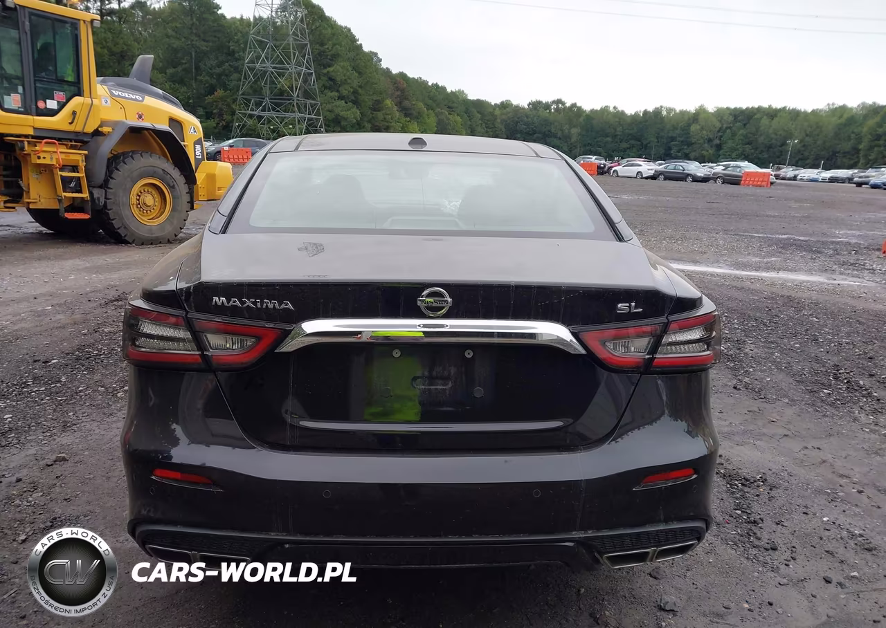 2020 Nissan Maxima Sl Xtronic Cvt VIN:1N4AA6DV5LC384943 - 16