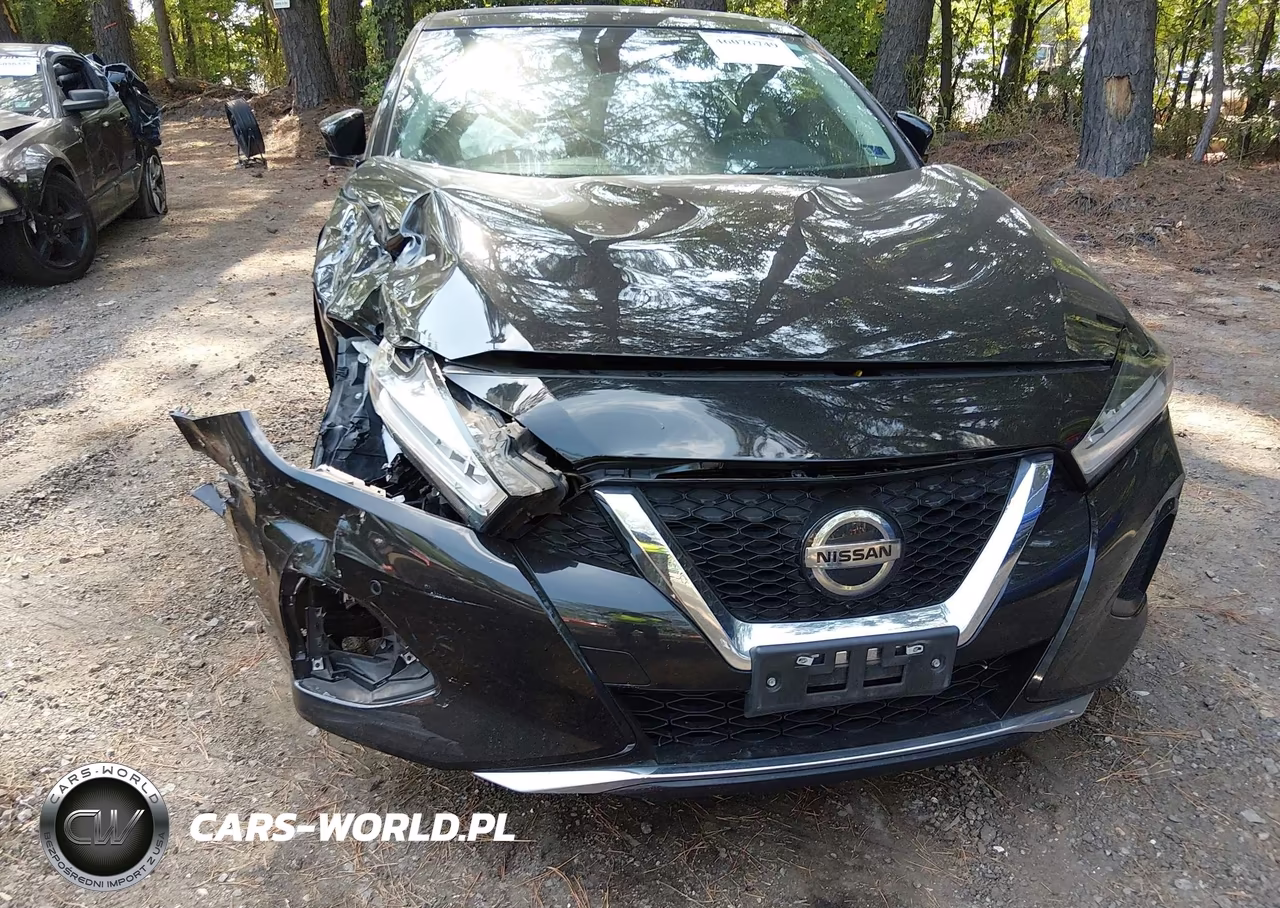 2020 Nissan Maxima Sl Xtronic Cvt VIN:1N4AA6DV5LC384943 - 6