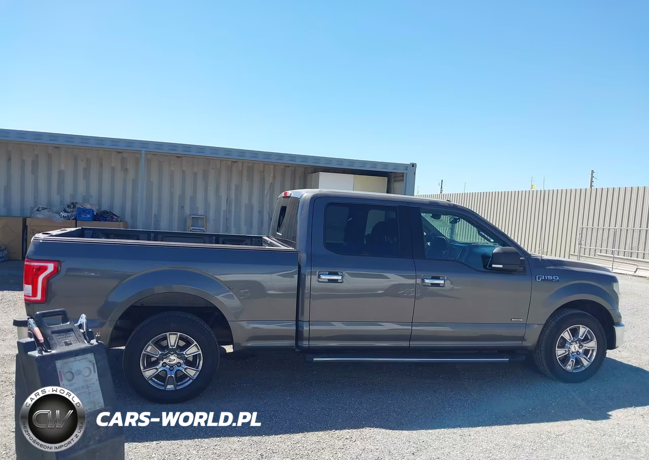 2015 Ford F-150 Xlt VIN:1FTEW1CPXFKE10336 - 13