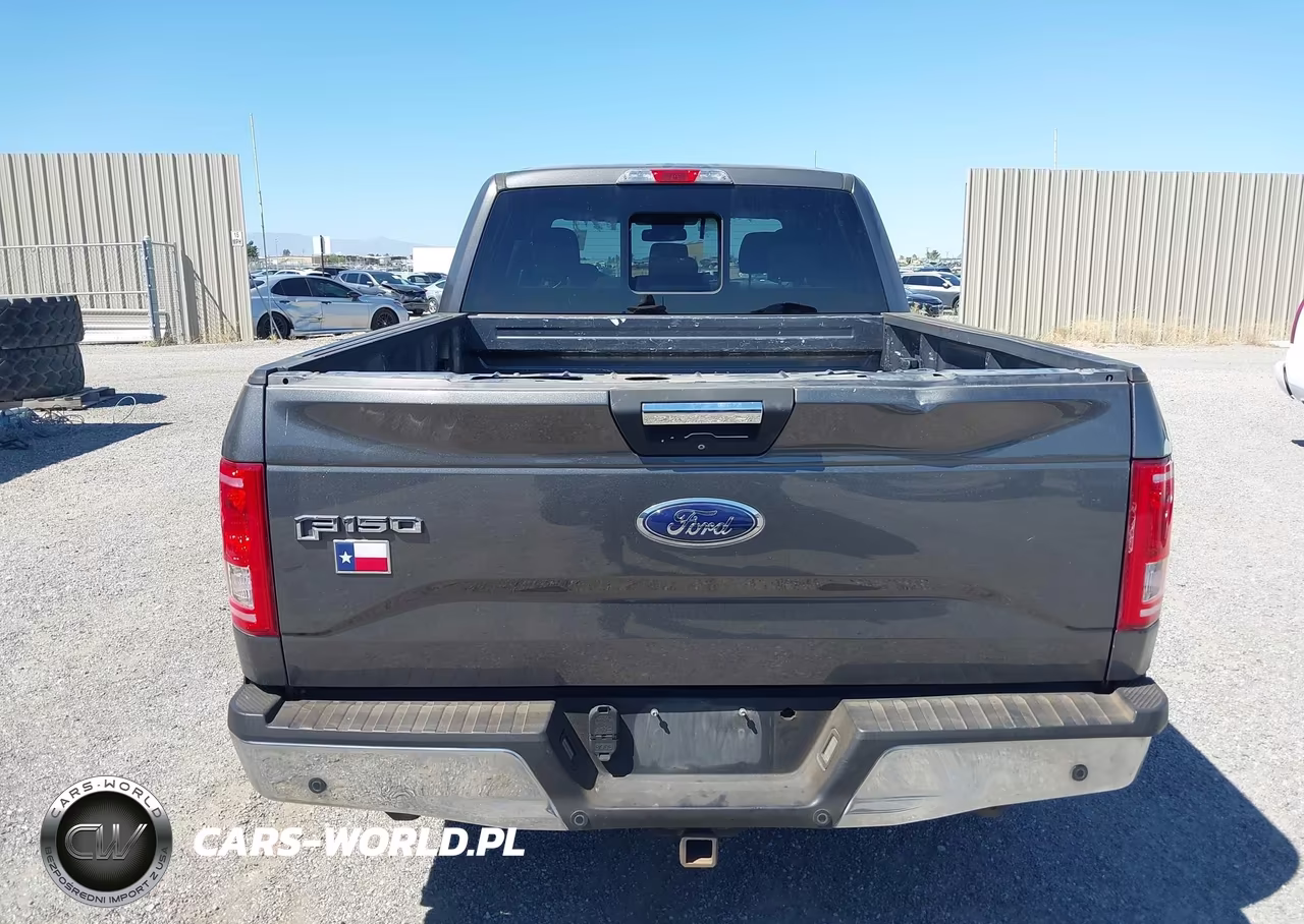 2015 Ford F-150 Xlt VIN:1FTEW1CPXFKE10336 - 16
