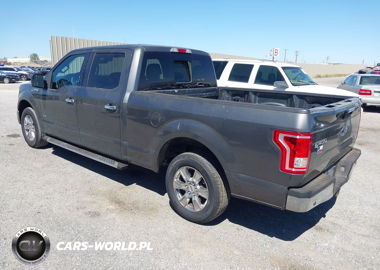 2015 Ford F-150 Xlt VIN:1FTEW1CPXFKE10336 - 3