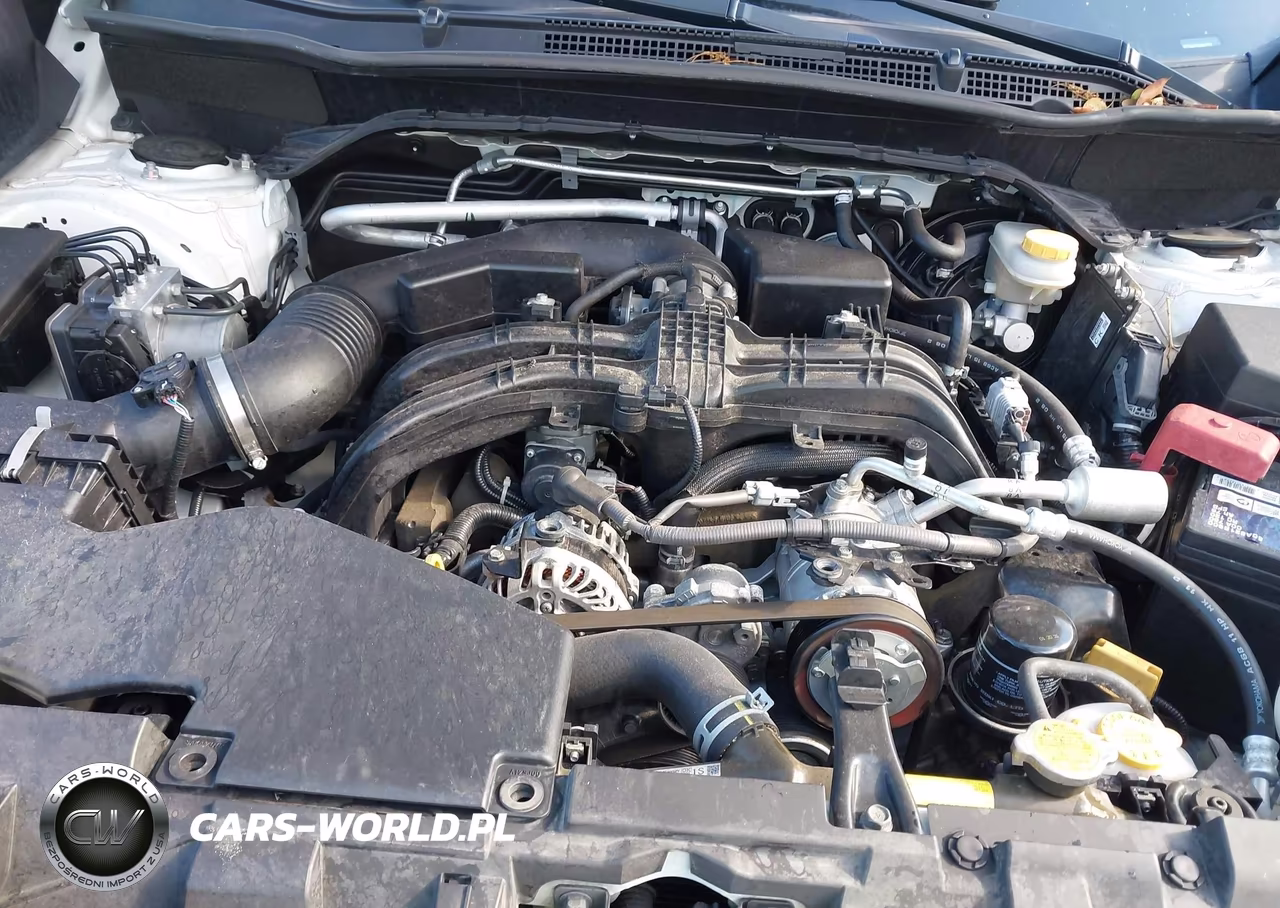 2019 Subaru Forester Limited VIN:JF2SKAUC0KH492712 - 10