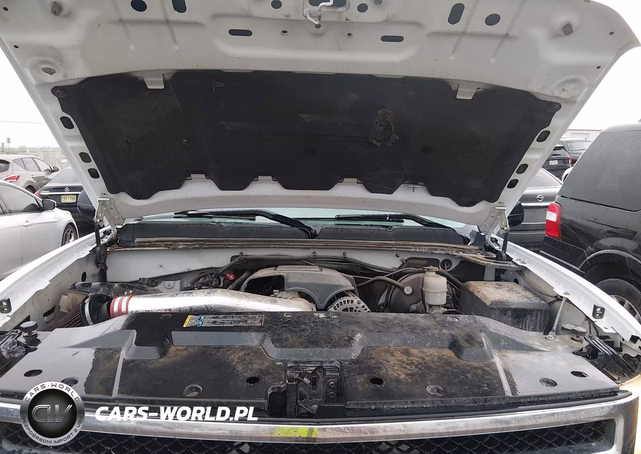 2009 Chevrolet Silverado 1500 Ls VIN:2GCEC13C591141527 - 10