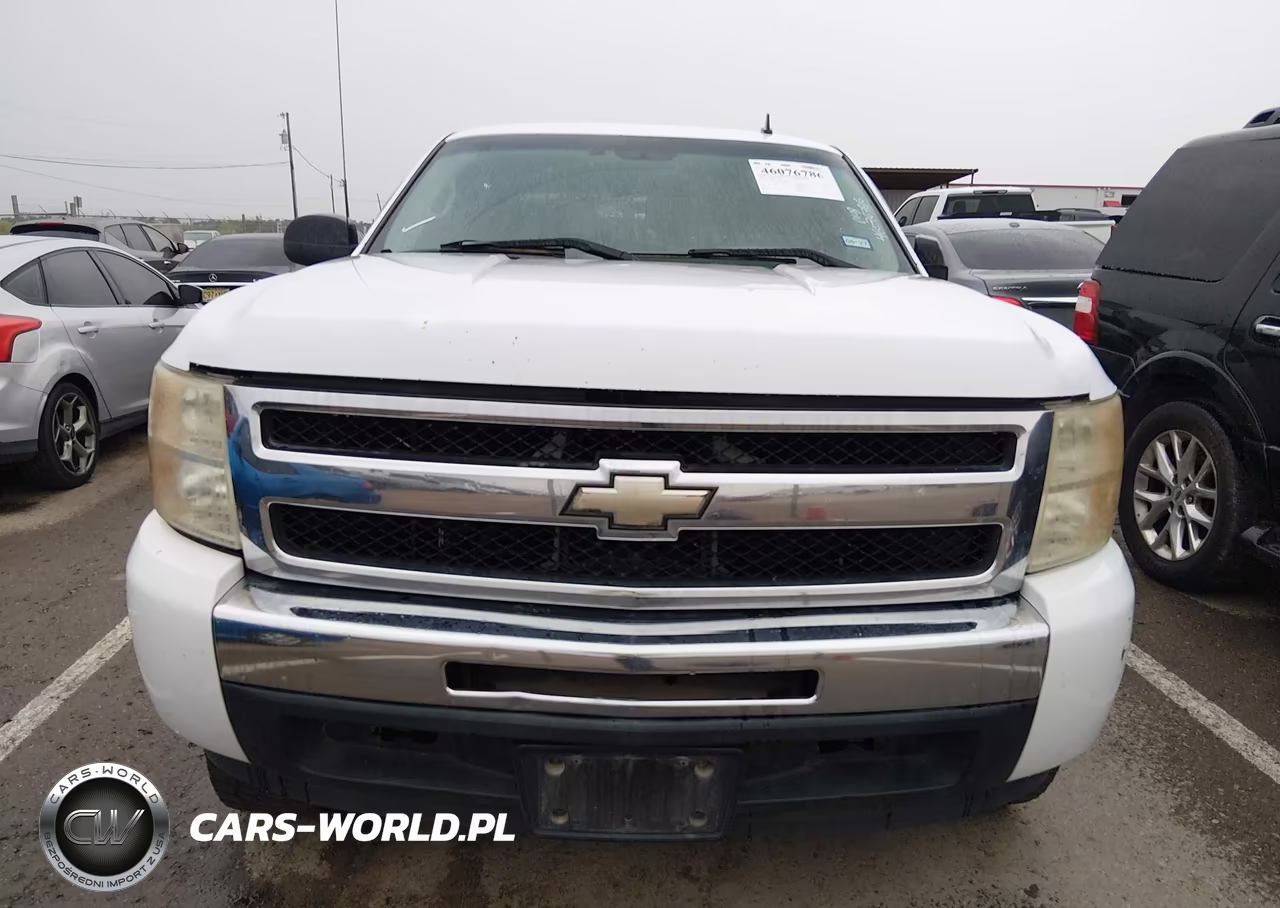 2009 Chevrolet Silverado 1500 Ls VIN:2GCEC13C591141527 - 12