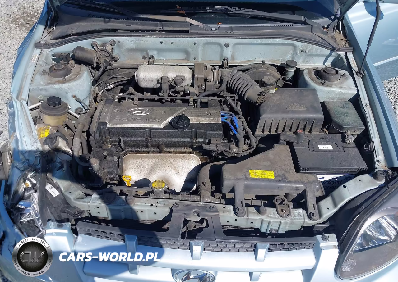 2005 Hyundai Accent Gls-Gt VIN:KMHCG35C85U333121 - 10