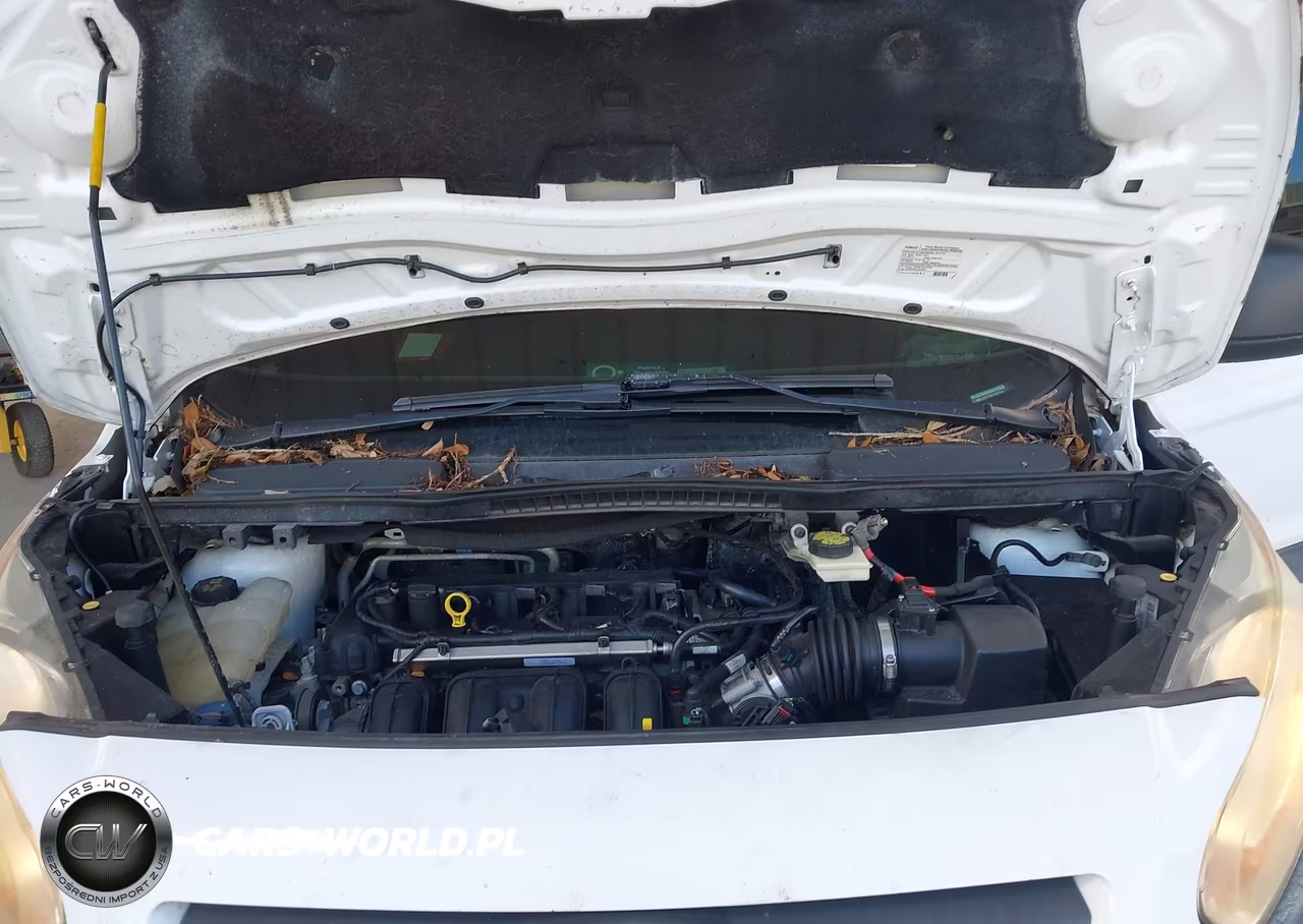 2016 Ford Transit Connect Xlt VIN:NM0LS7F78G1267814 - 10