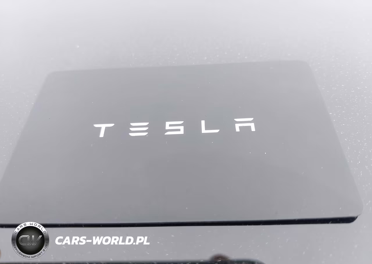 2023 Tesla Model Y Performance Dual Motor All-Wheel Drive VIN:7SAYGDEF0PF600986 - 10