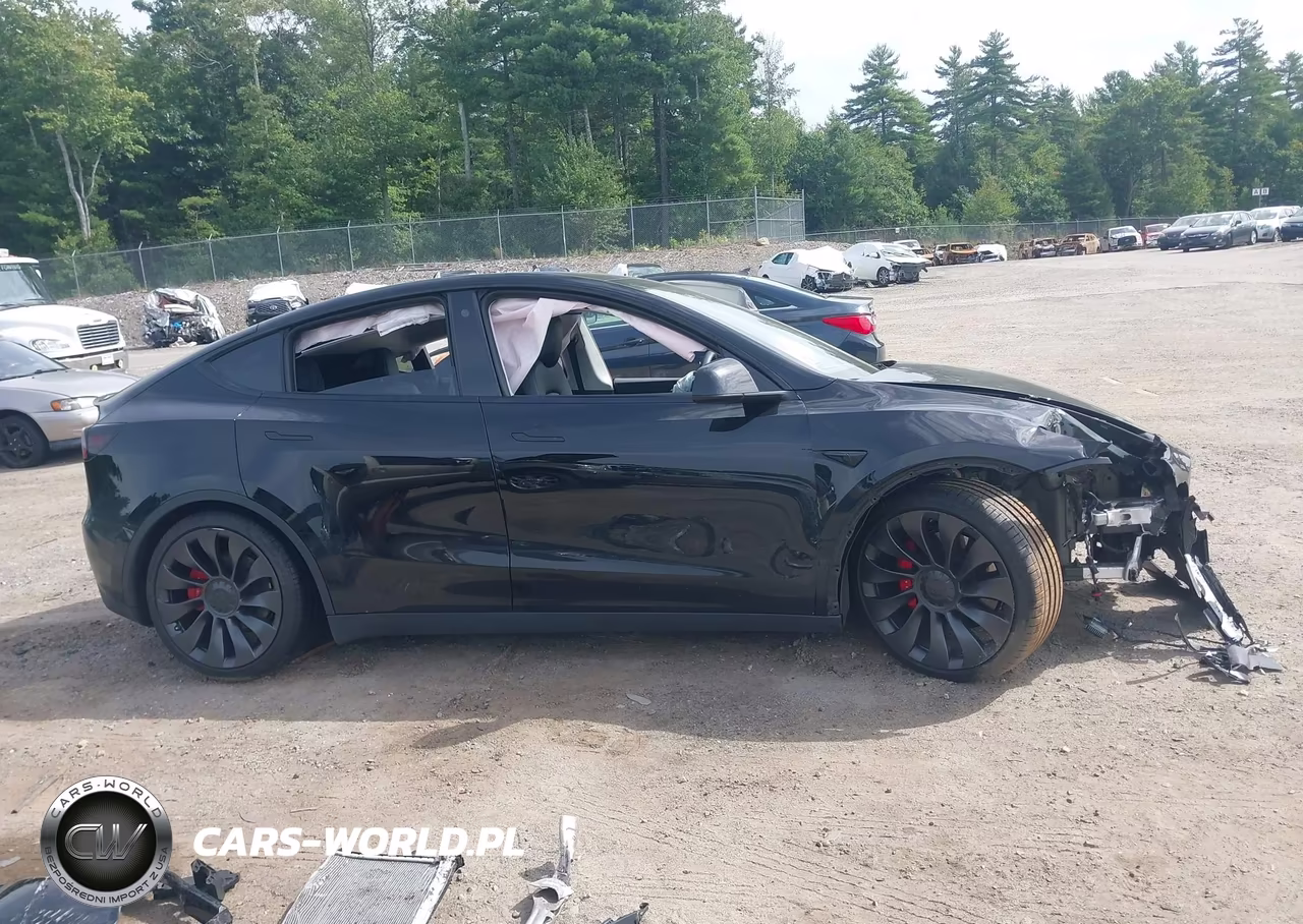 2023 Tesla Model Y Performance Dual Motor All-Wheel Drive VIN:7SAYGDEF0PF600986 - 13