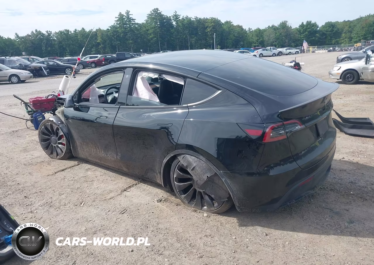 2023 Tesla Model Y Performance Dual Motor All-Wheel Drive VIN:7SAYGDEF0PF600986 - 3