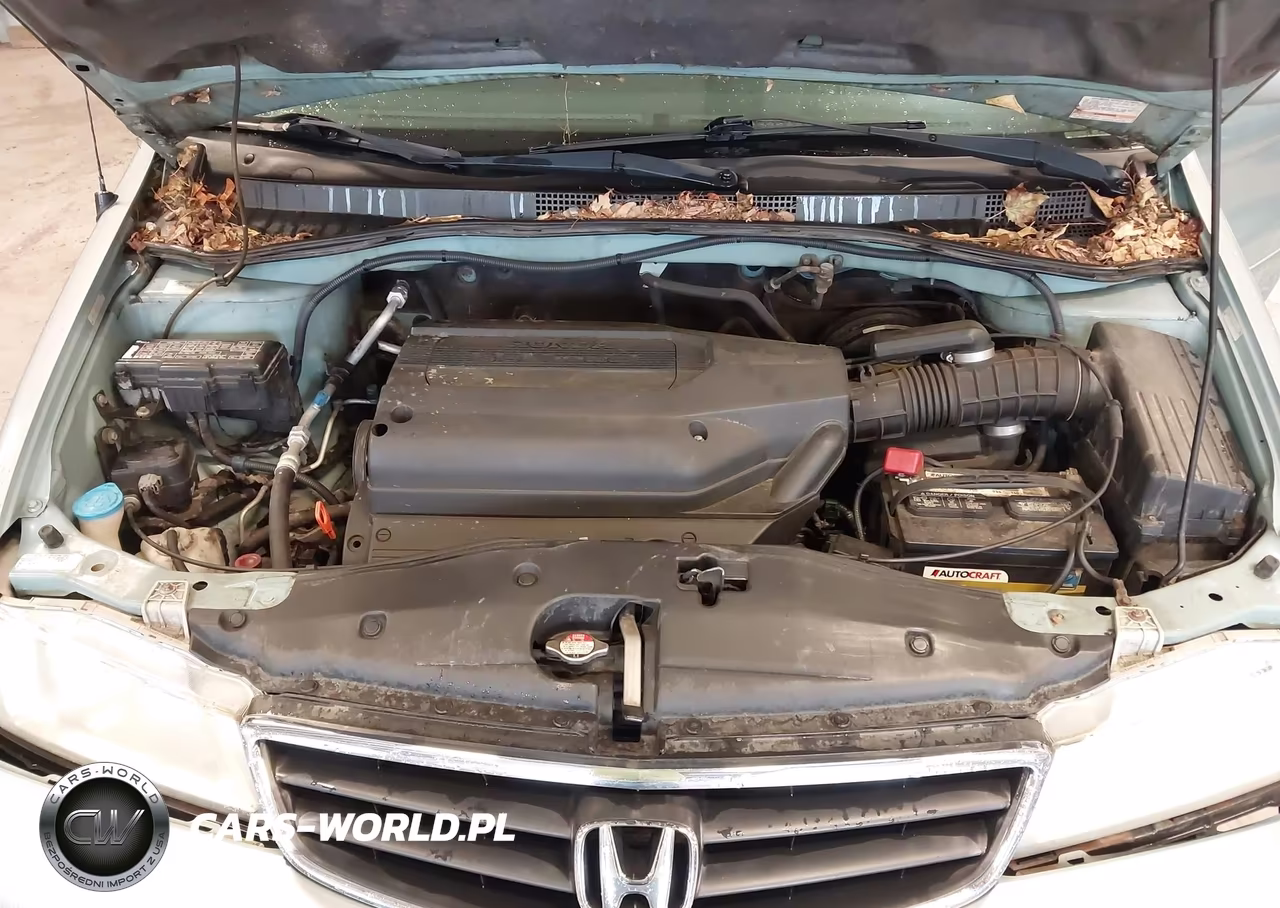 2003 Honda Odyssey Ex VIN:2HKRL18673H502167 - 10