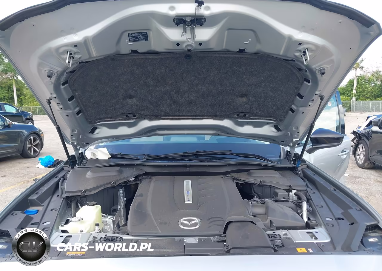 2025 Mazda Cx-90 Phev Premium Sport VIN:JM3KKCHA3S1235031 - 10