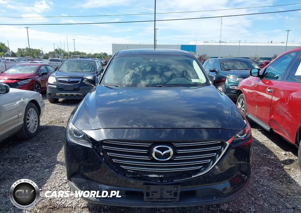 2016 Mazda Cx-9 Touring VIN:JM3TCBCY6G0102079 - 12