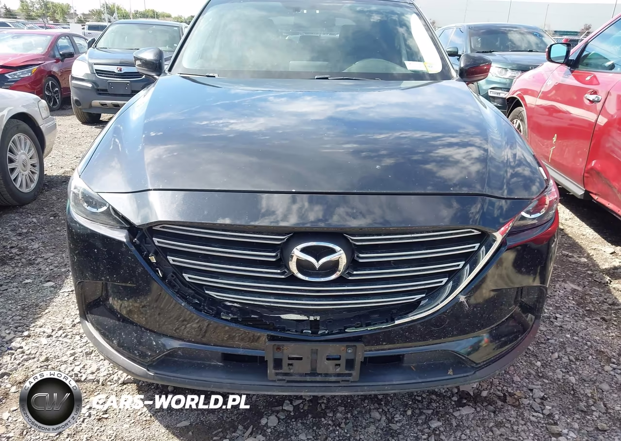 2016 Mazda Cx-9 Touring VIN:JM3TCBCY6G0102079 - 17