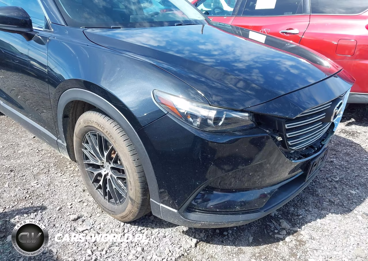 2016 Mazda Cx-9 Touring VIN:JM3TCBCY6G0102079 - 18
