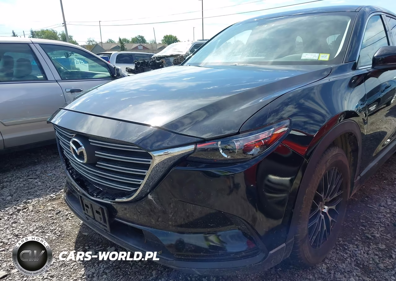2016 Mazda Cx-9 Touring VIN:JM3TCBCY6G0102079 - 6