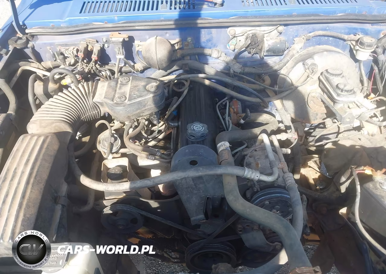 1995 Dodge Dakota VIN:1B7FL26G7SW923030 - 10