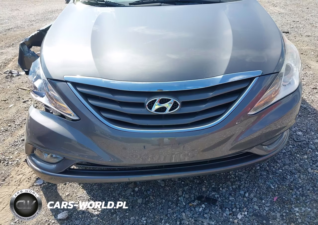 2013 Hyundai Sonata Gls VIN:5NPEB4AC0DH723145 - 12