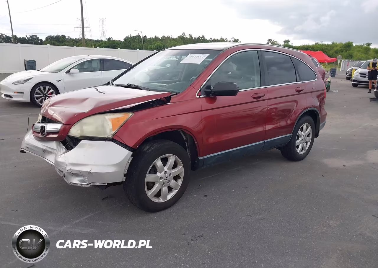 2008 Honda Cr-V Ex-L VIN:JHLRE48798C029768 - 2