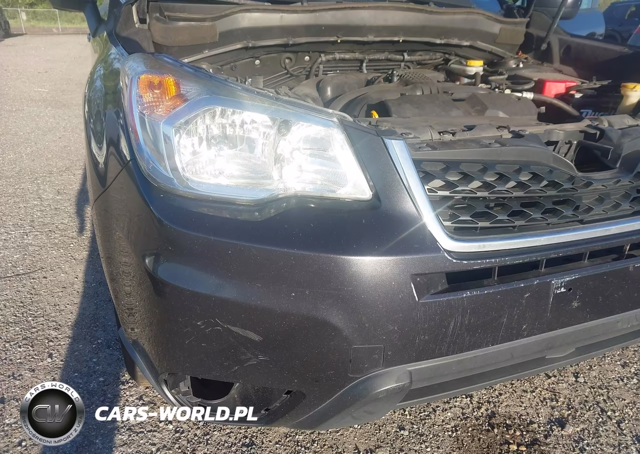 2016 Subaru Forester 2.5I Premium VIN:JF2SJADC8GH410008 - 6