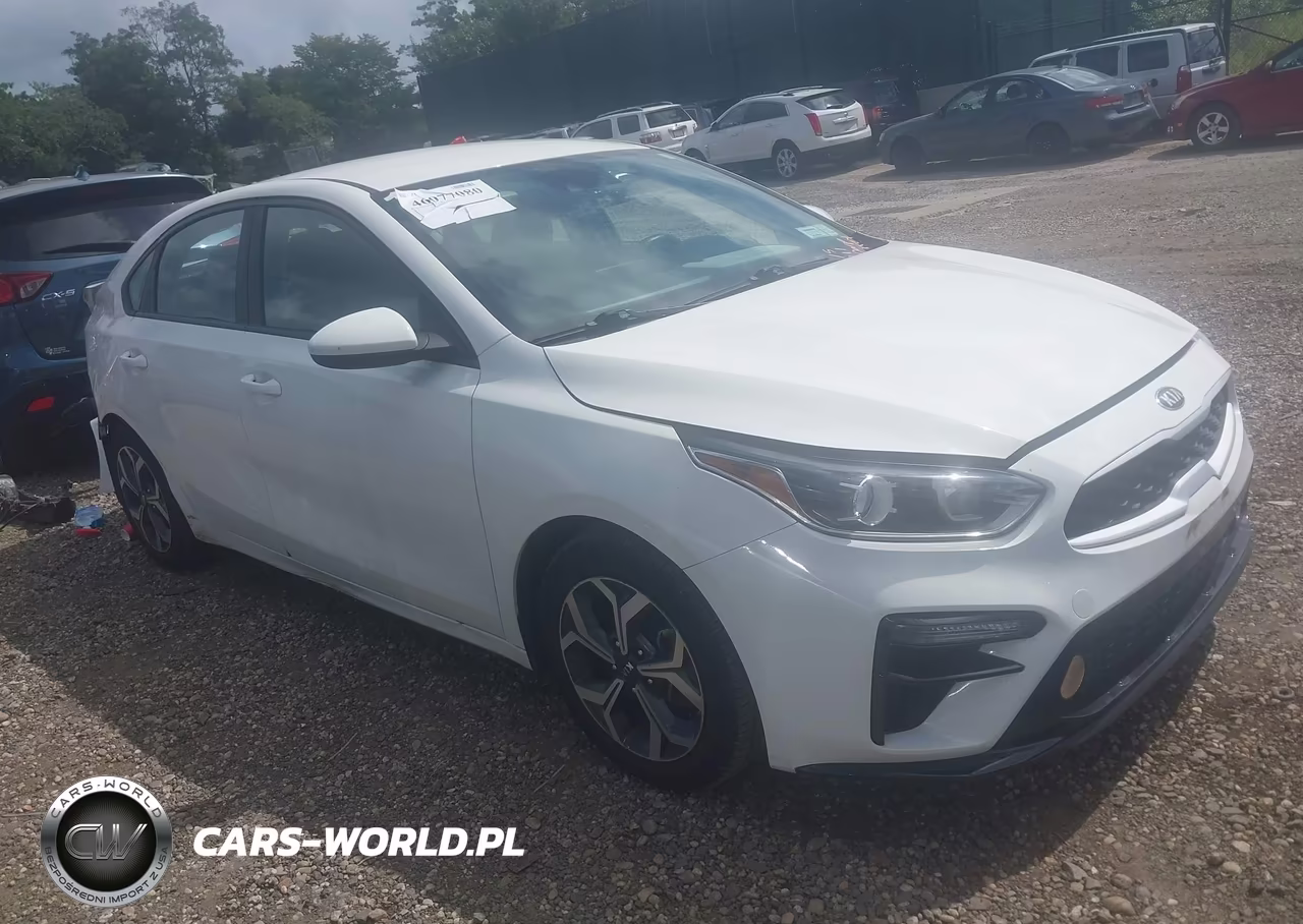 2019 Kia Forte Lxs