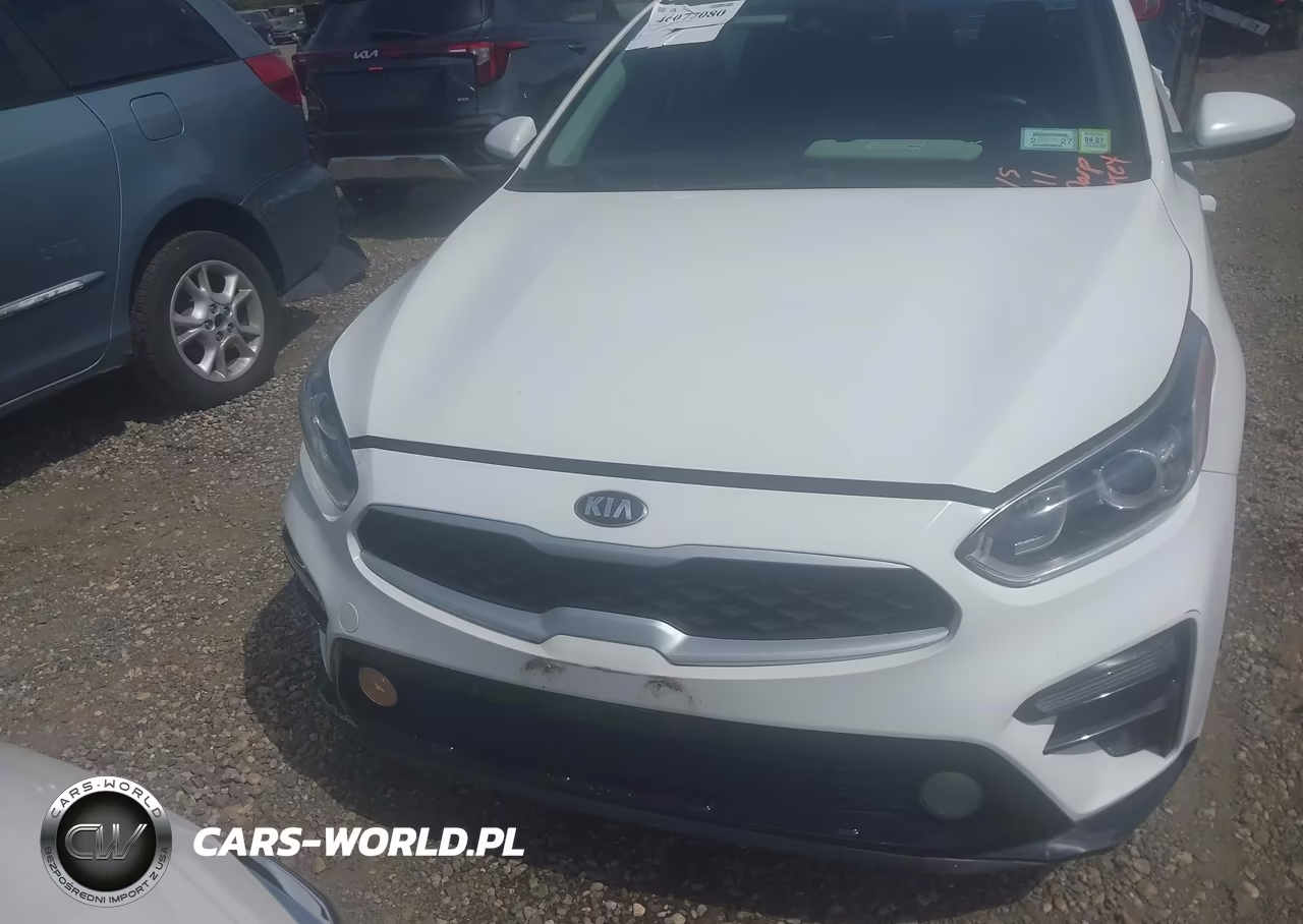 2019 Kia Forte Lxs VIN:3KPF24AD2KE079436 - 12