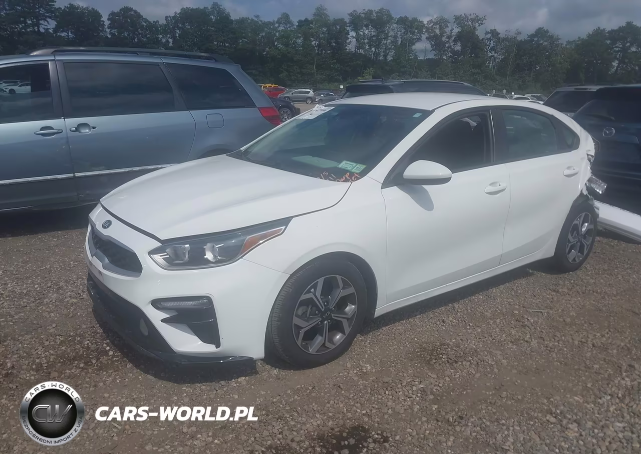 2019 Kia Forte Lxs VIN:3KPF24AD2KE079436 - 2