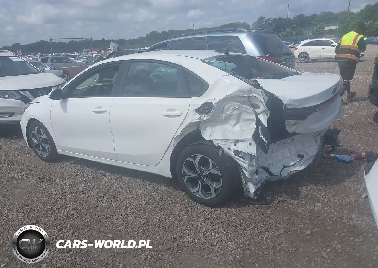 2019 Kia Forte Lxs VIN:3KPF24AD2KE079436 - 3