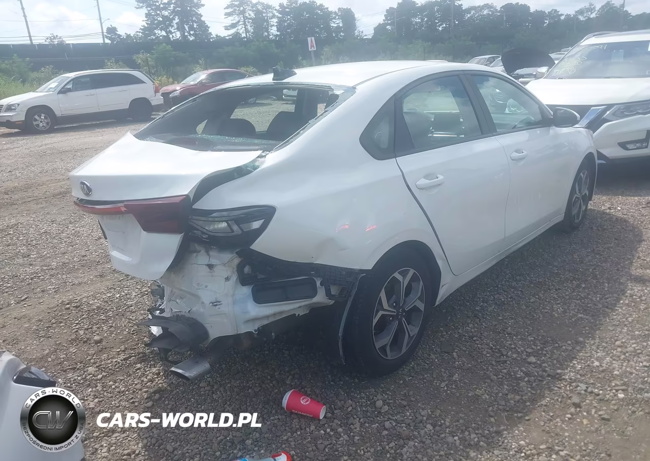 2019 Kia Forte Lxs VIN:3KPF24AD2KE079436 - 4