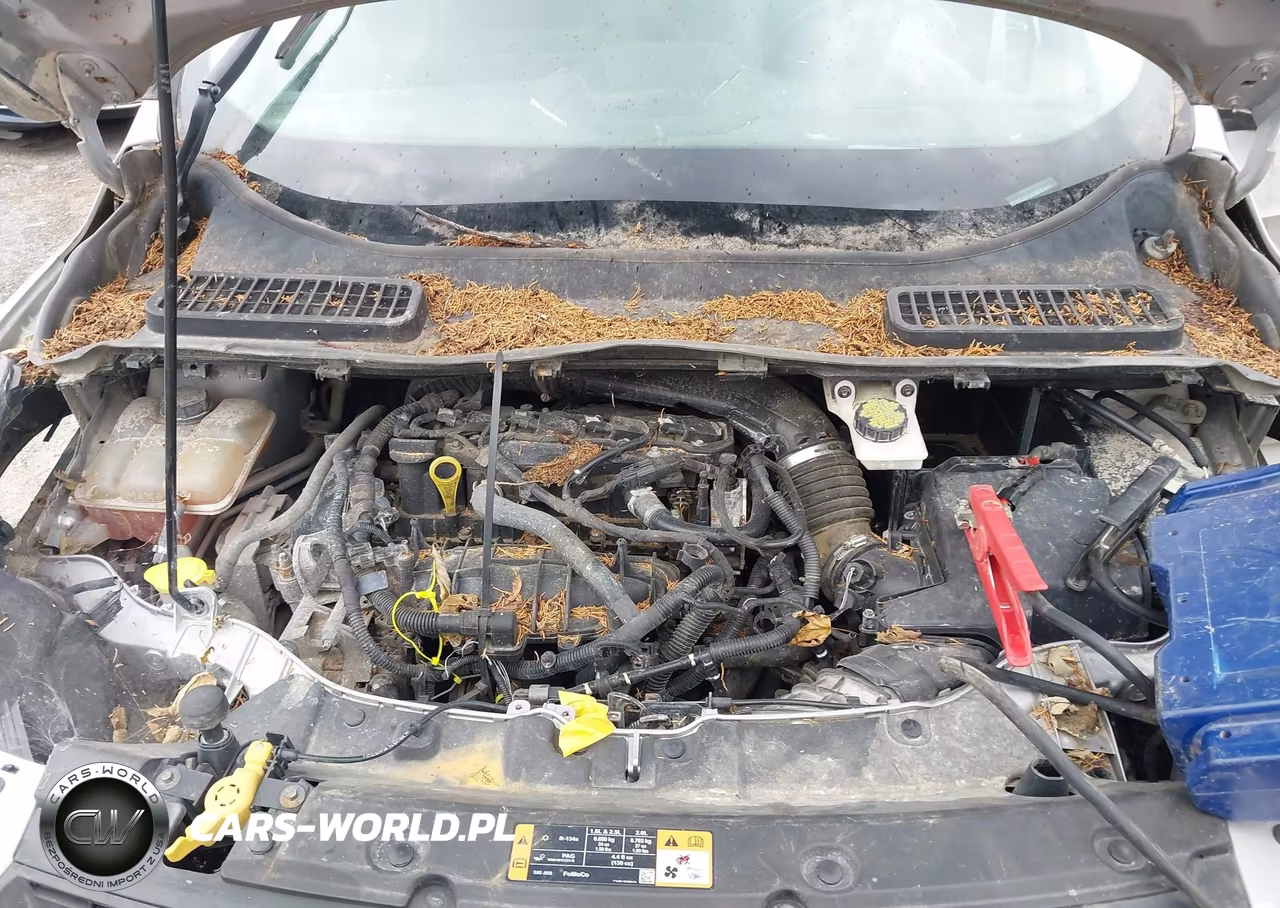 2016 Ford Escape Se VIN:1FMCU9GX8GUB50610 - 10