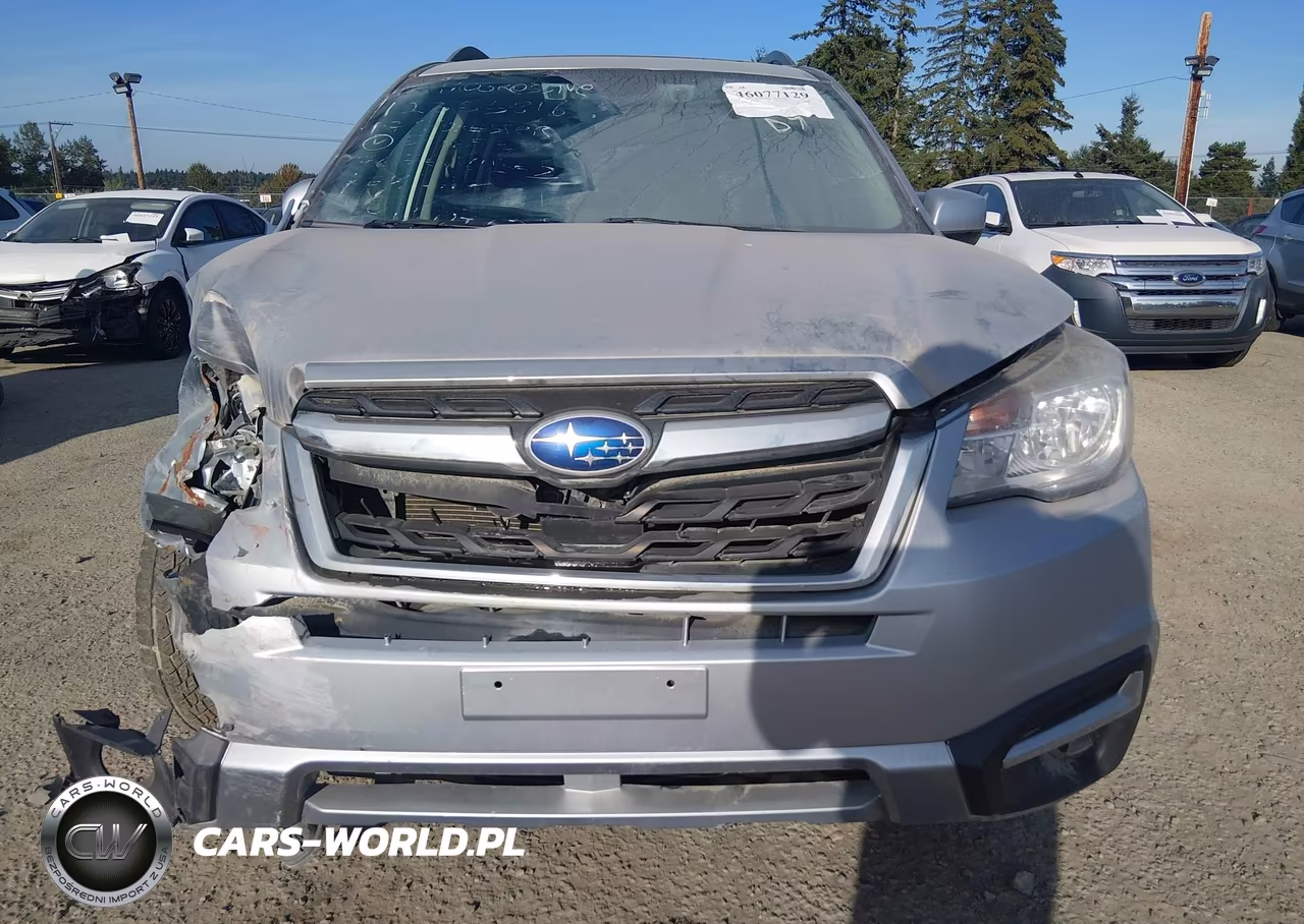 2017 Subaru Forester 2.5I Premium VIN:JF2SJAGC0HH571675 - 13