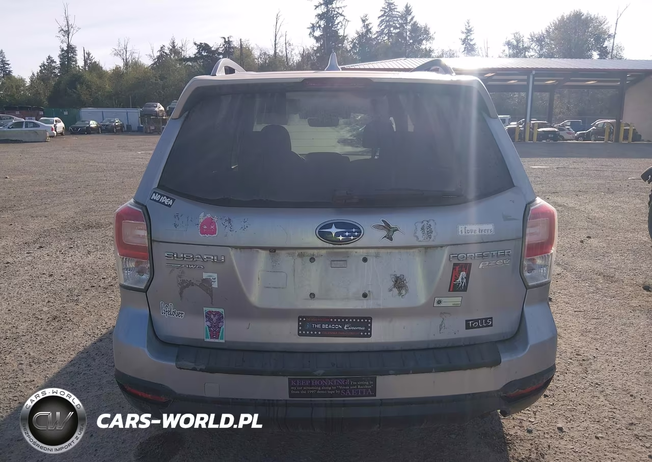 2017 Subaru Forester 2.5I Premium VIN:JF2SJAGC0HH571675 - 17