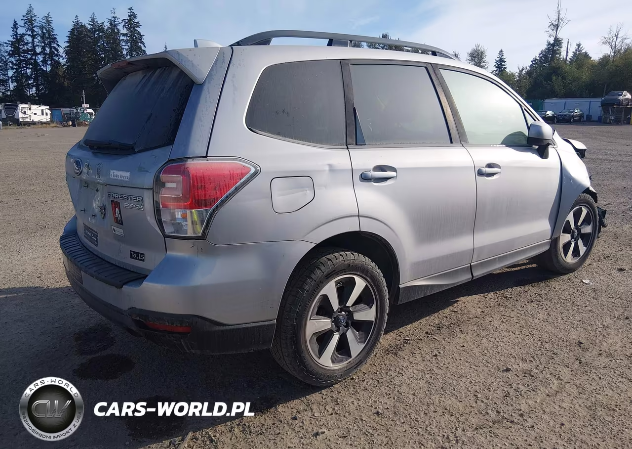 2017 Subaru Forester 2.5I Premium VIN:JF2SJAGC0HH571675 - 4