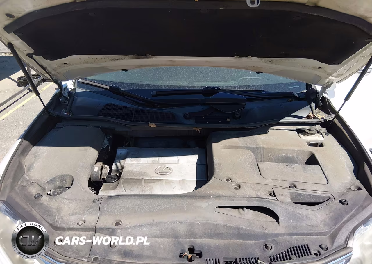 2010 Lexus Rx 350 VIN:2T2BK1BA8AC073425 - 10