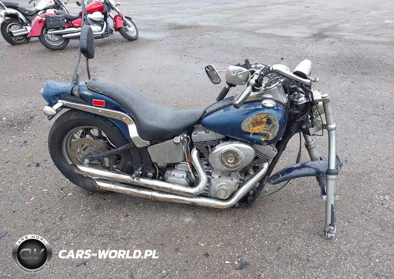 2002 Harley-Davidson Fxst VIN:1HD1BHY192Y026898 - 12