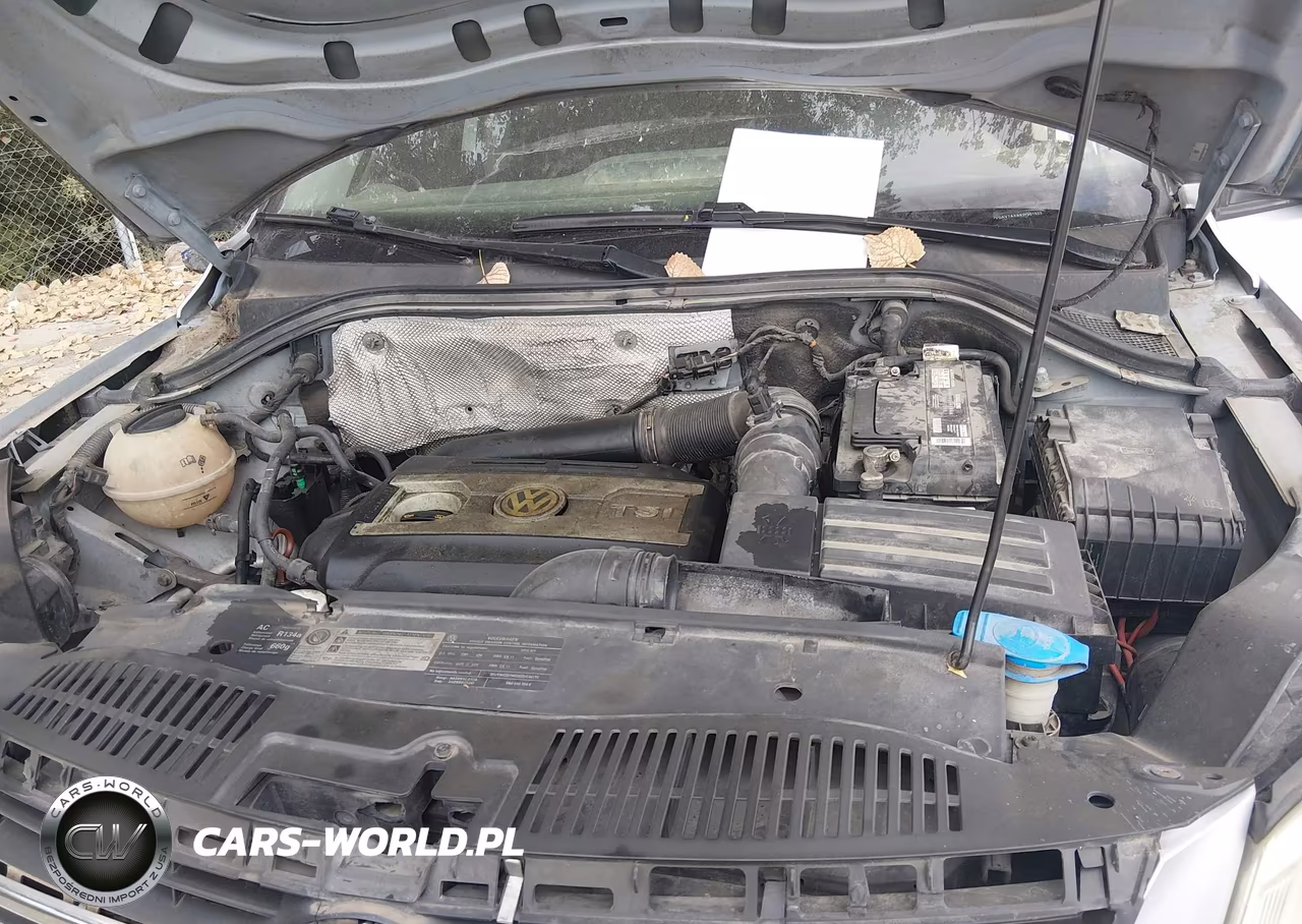 2010 Volkswagen Tiguan S VIN:WVGAV7AX9AW001023 - 10