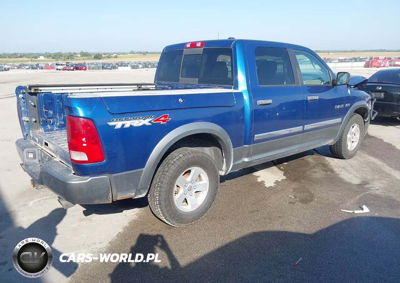 2010 Dodge Ram 1500 Slt-Sport-Trx VIN:1D7RV1CT5AS260684 - 4